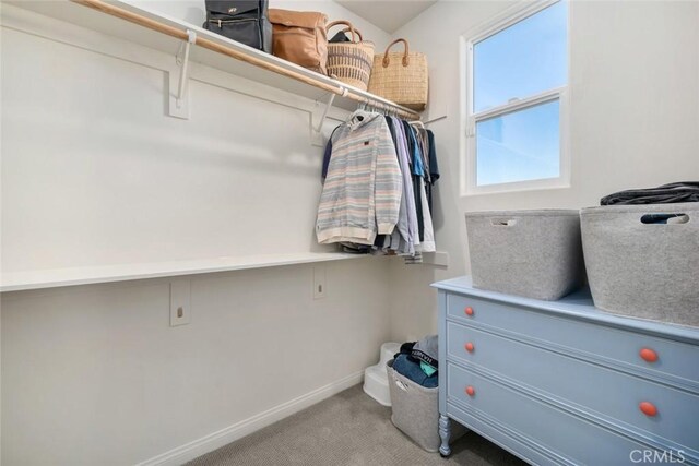 spacious closet featuring light carpet