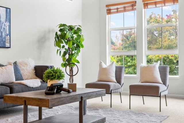 interior space with plenty of natural light and carpet floors