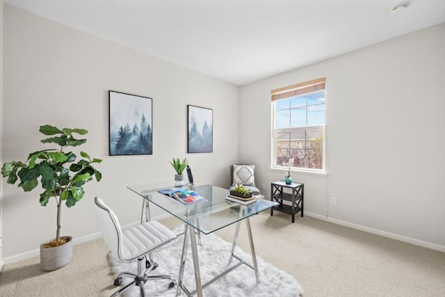 home office with carpet floors