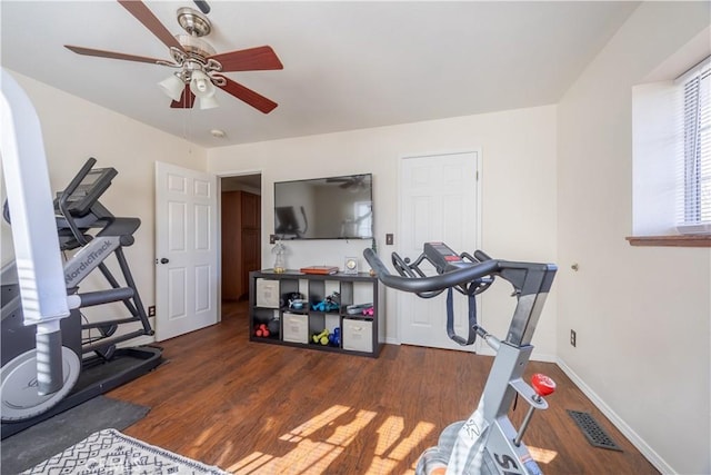 workout room featuring dark hardwood / wood-style flooring and ceiling fan