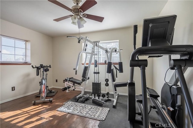 exercise room with plenty of natural light, dark hardwood / wood-style floors, and ceiling fan