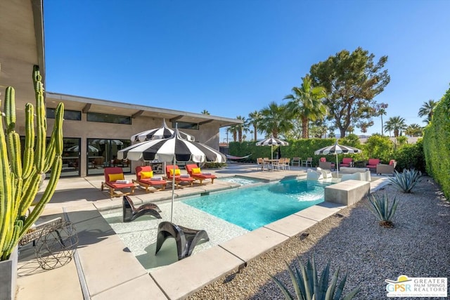 view of pool with a patio area