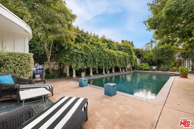 view of swimming pool with a patio area