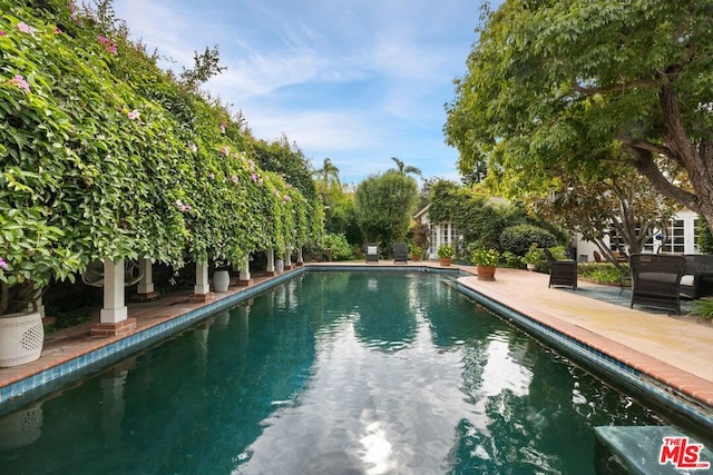 view of swimming pool featuring a patio area