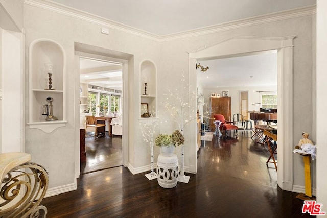 corridor featuring ornamental molding and dark wood-type flooring