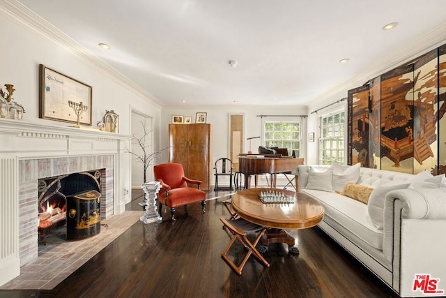 living room featuring a fireplace, hardwood / wood-style floors, and crown molding