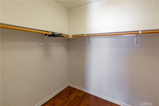 spacious closet featuring dark hardwood / wood-style flooring