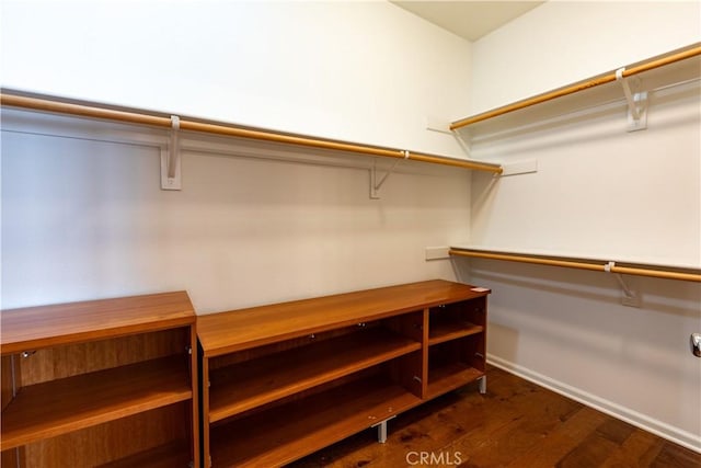 walk in closet featuring dark hardwood / wood-style floors