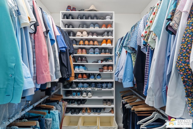 view of spacious closet