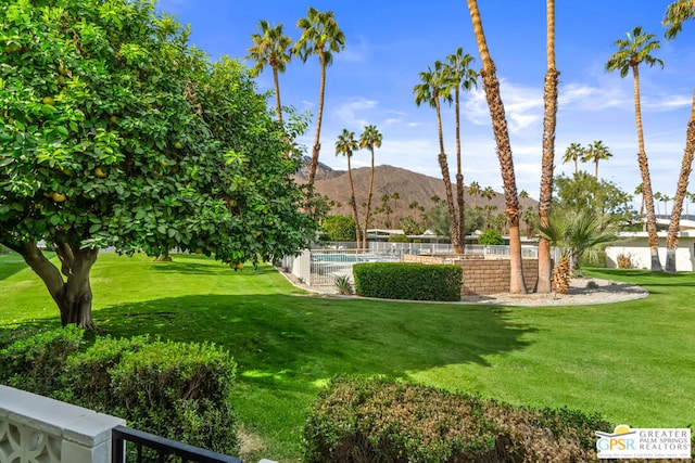 view of yard featuring a mountain view