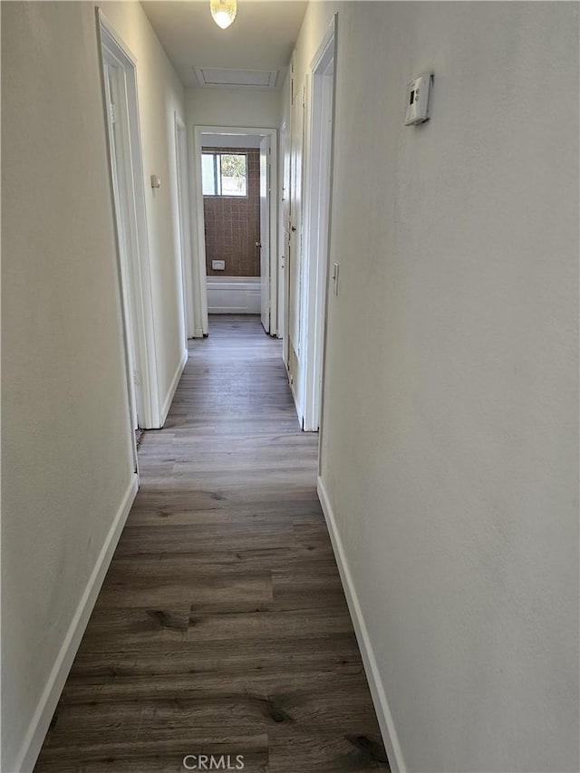 hallway with dark hardwood / wood-style flooring