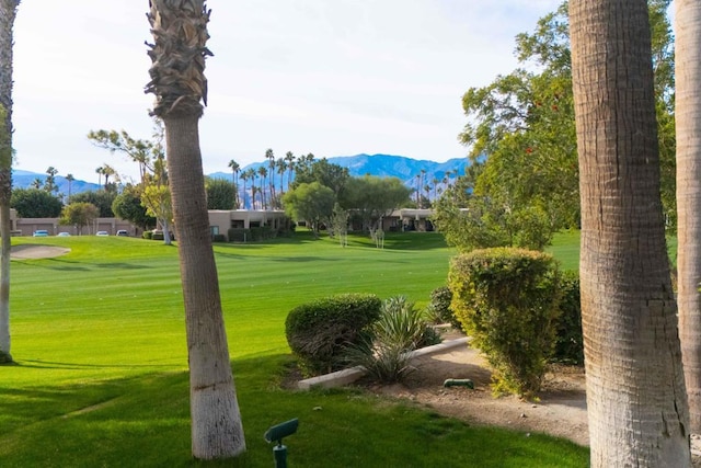 view of community featuring a mountain view and a yard