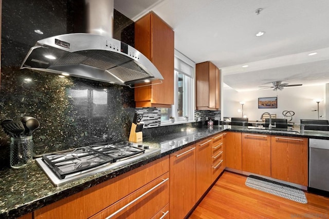 kitchen featuring appliances with stainless steel finishes, light wood-type flooring, backsplash, ventilation hood, and sink