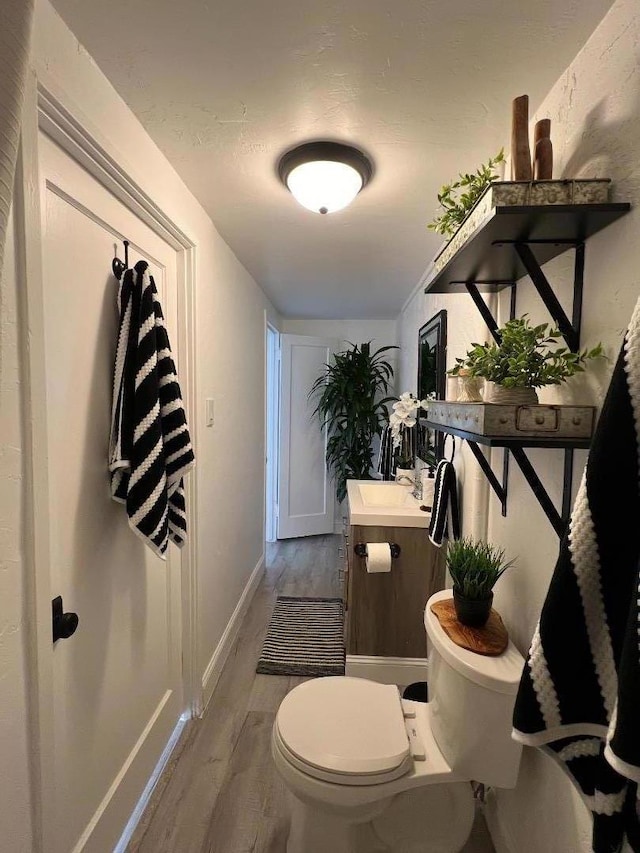 bathroom featuring toilet, vanity, and wood-type flooring