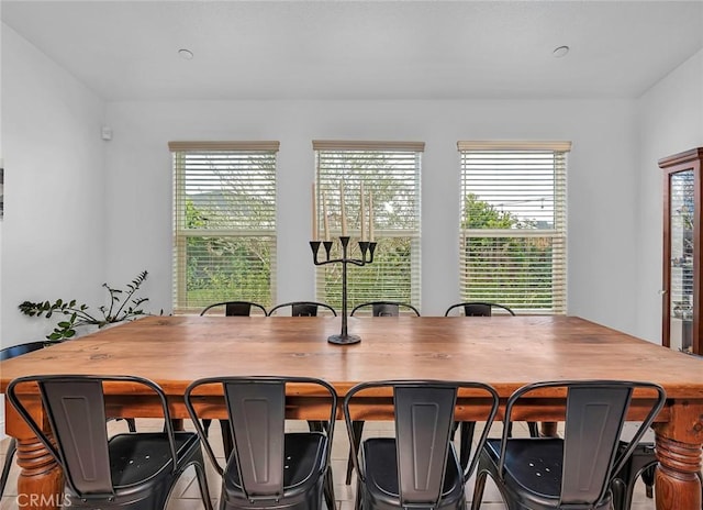 dining area with plenty of natural light