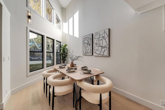 dining room featuring a healthy amount of sunlight, light hardwood / wood-style floors, and a high ceiling