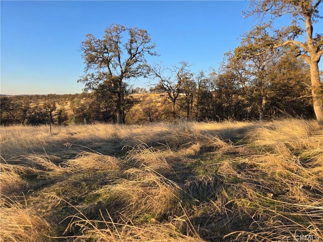 0 Avacado Rd, Oroville, CA 95966 - photo 1