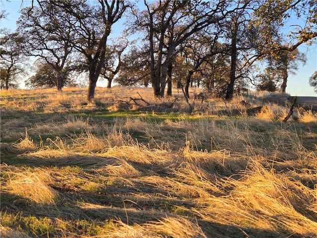 0 Avacado Rd, Oroville, CA 95966 - photo 11