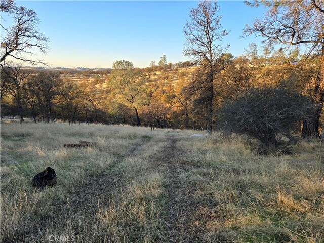 0 Avacado Rd, Oroville, CA 95966 - photo 2