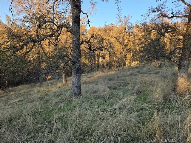 0 Avacado Rd, Oroville, CA 95966 - photo 6