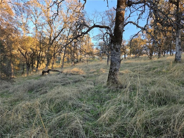 0 Avacado Rd, Oroville, CA 95966 - photo 7