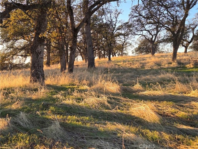 0 Avacado Rd, Oroville, CA 95966 - photo 10