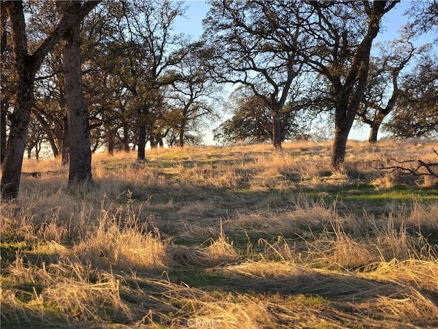 0 Avacado Rd, Oroville, CA 95966 - photo 12