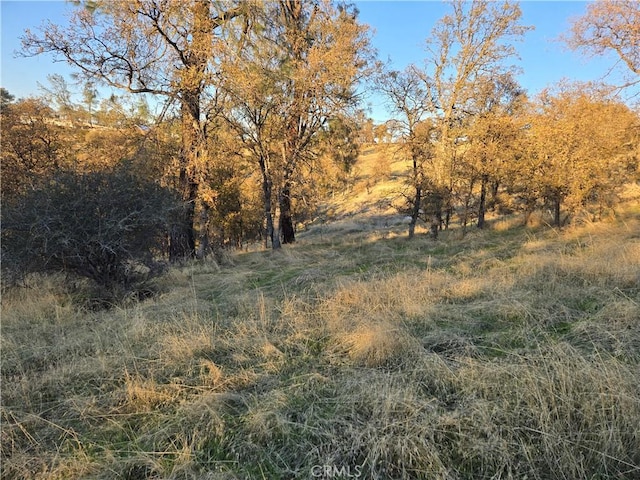 0 Avacado Rd, Oroville, CA 95966 - photo 3