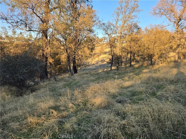 0 Avacado Rd, Oroville, CA 95966 - photo 4