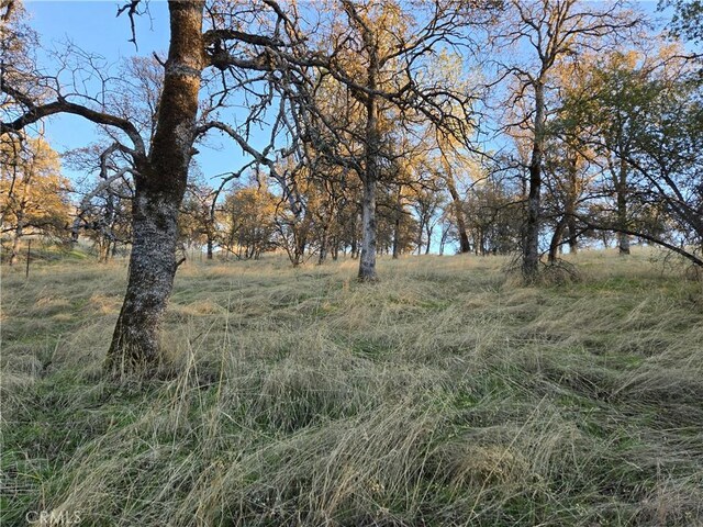 0 Avacado Rd, Oroville, CA 95966 - photo 8