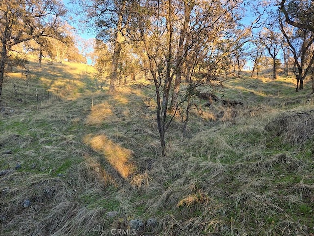 0 Avacado Rd, Oroville, CA 95966 - photo 9