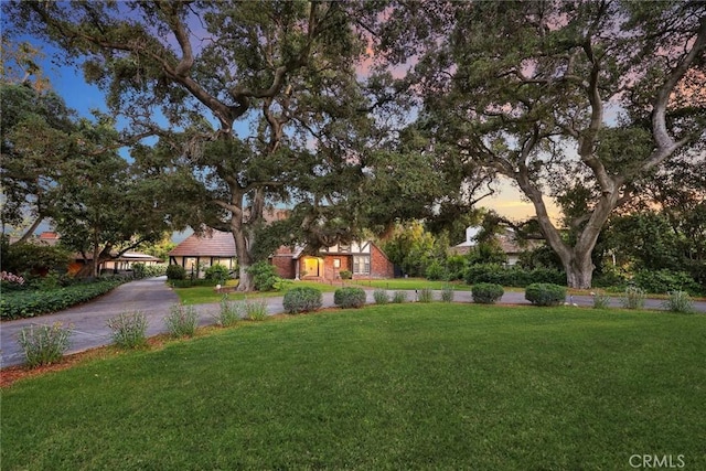 view of yard at dusk