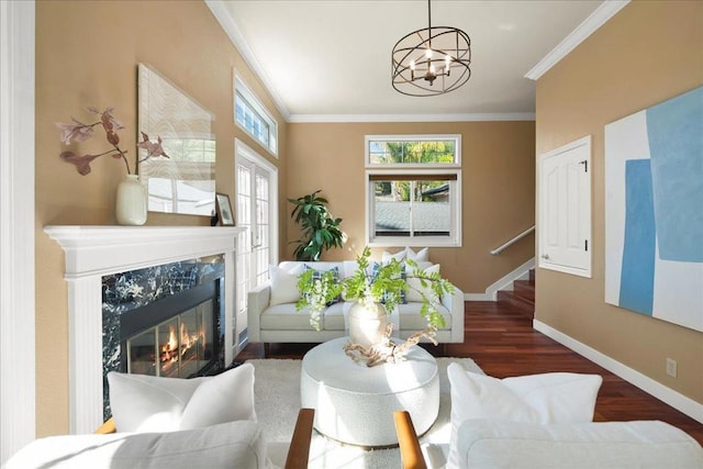 living room with a premium fireplace, an inviting chandelier, ornamental molding, and dark hardwood / wood-style flooring