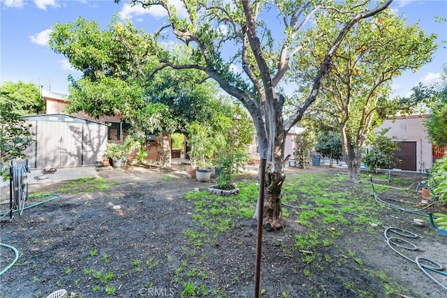 view of yard with a shed