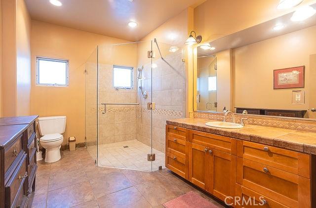 bathroom with vanity, toilet, a shower with door, and a wealth of natural light