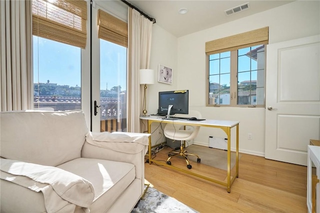 office space featuring plenty of natural light and wood-type flooring