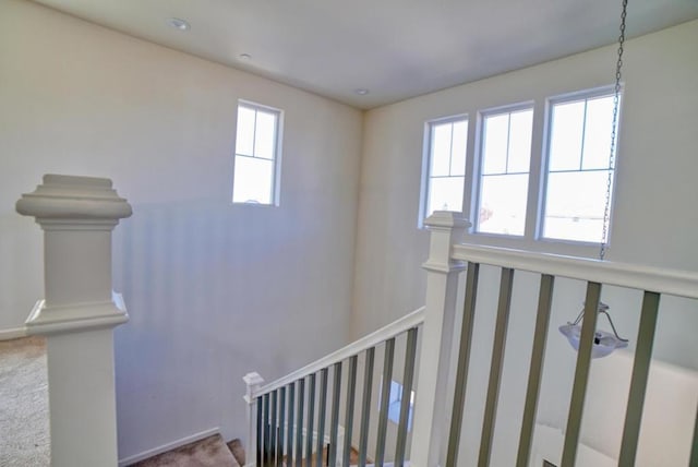 stairs featuring carpet flooring