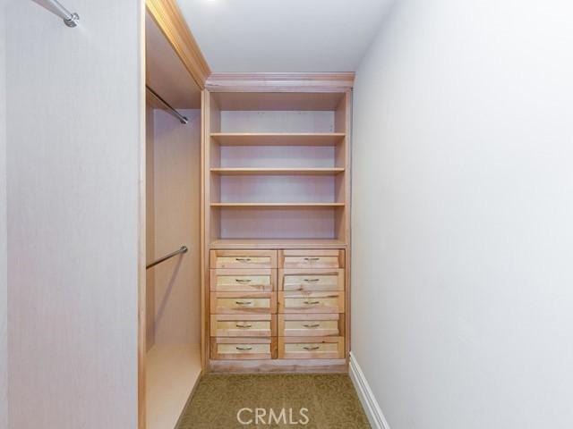 spacious closet with light carpet