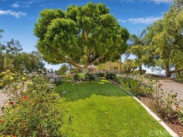 44665 La Cruz Dr, Temecula, CA 92590 - view of grassy yard
