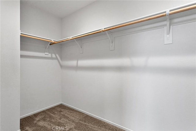 spacious closet with carpet flooring