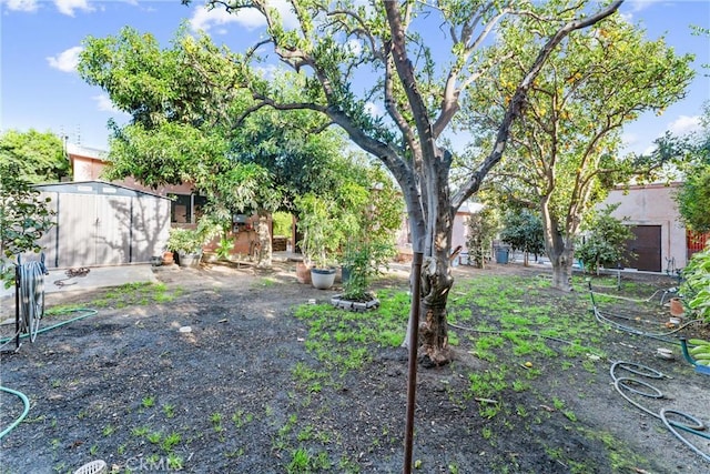 view of yard with a storage shed