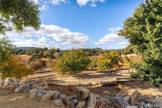 view of landscape with a rural view