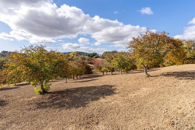 view of landscape with a rural view