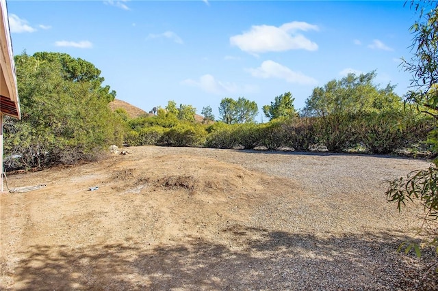 view of local wilderness