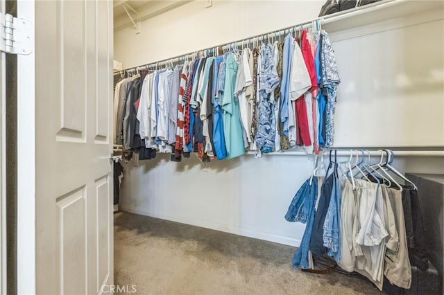 spacious closet featuring carpet