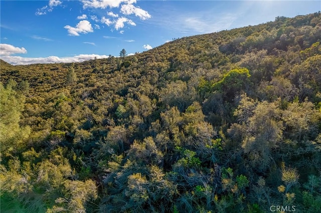 11279 Point Lakeview Rd, Kelseyville, CA 95451 - photo 16