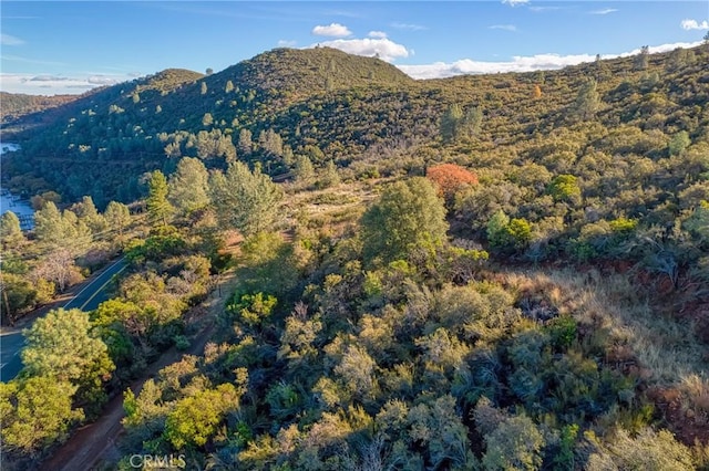 11279 Point Lakeview Rd, Kelseyville, CA 95451 - photo 21