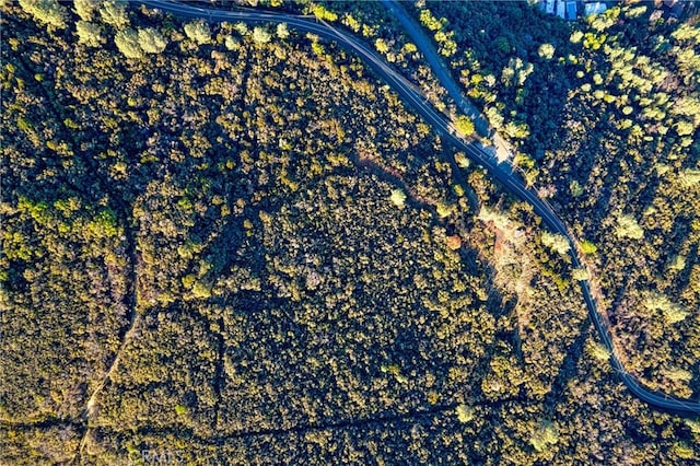 11279 Point Lakeview Rd, Kelseyville, CA 95451 - photo 11