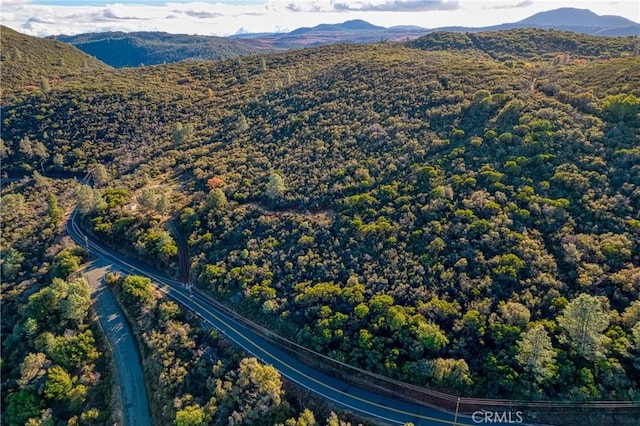 11279 Point Lakeview Rd, Kelseyville, CA 95451 - photo 18