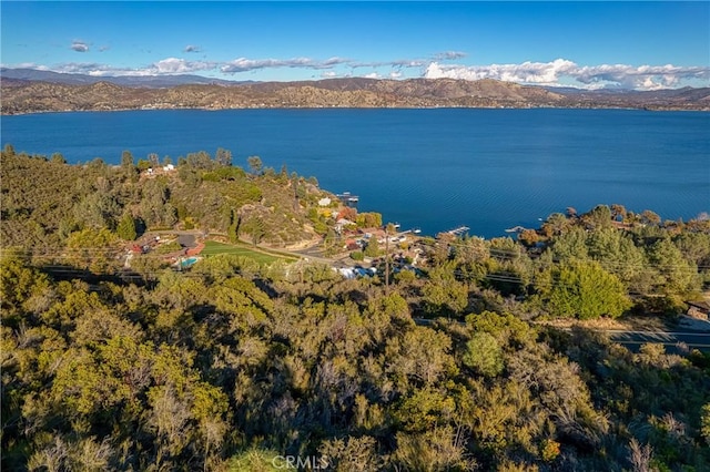 11279 Point Lakeview Rd, Kelseyville, CA 95451 - photo 14